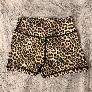 Muscle Nation leopard shorts
